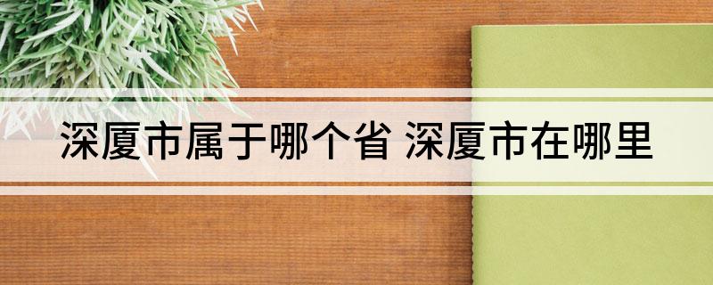 深厦市属于哪个省(深厦市在哪里)