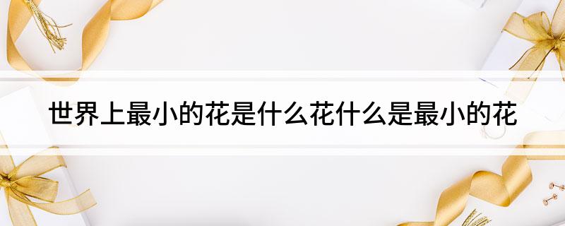 世界上最小的花是什么花(什么是最小的花)?