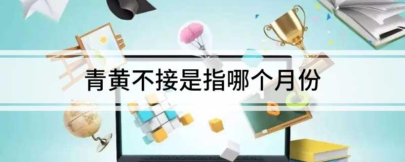 青黄不接是指哪个月份