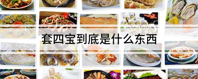 套四宝到底是什么东西?