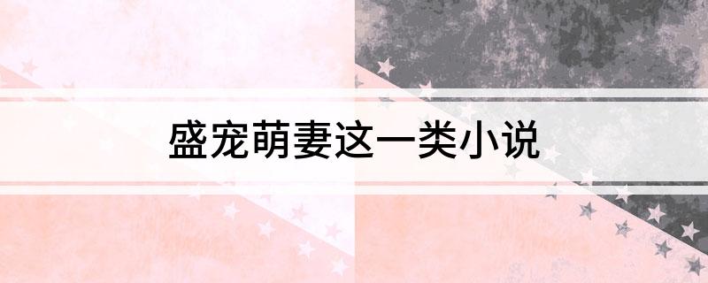盛宠萌妻这一类小说