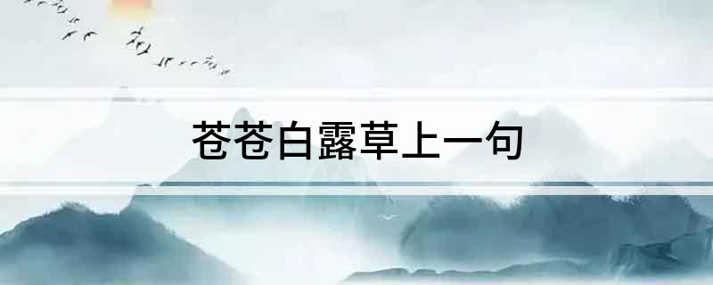 苍苍白露草上一句