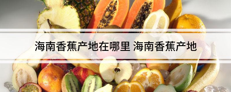 海南香蕉产地在哪里(海南香蕉产地)