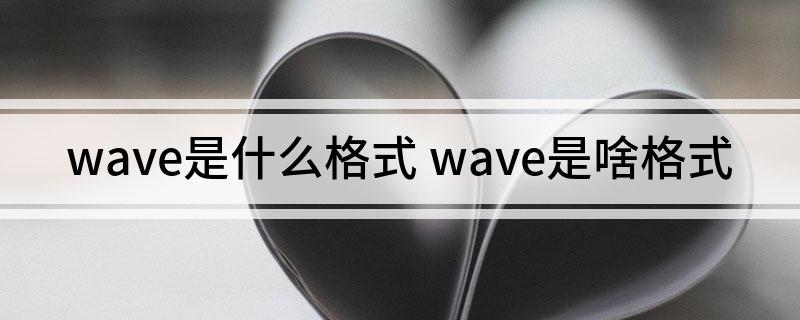 wave是什么格式(wave是啥格式)?
