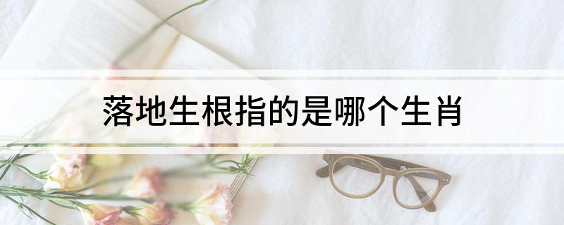 落地生根指的是哪个生肖