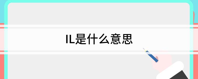 IL是什么意思?