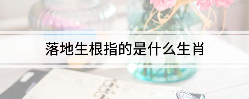 落地生根指的是什么生肖?