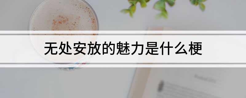 无处安放的魅力是什么梗?