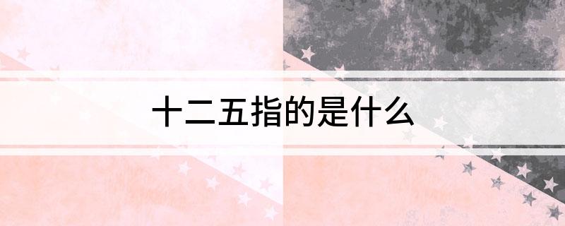 十二五指的是什么?