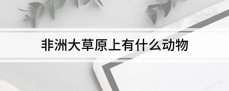 非洲大草原上有什么动物?