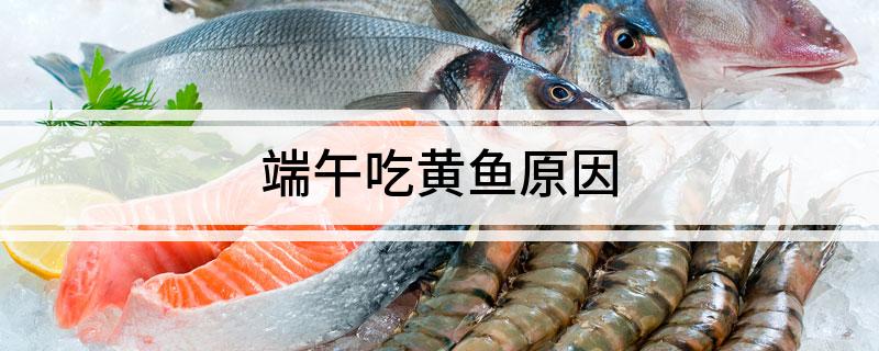 端午吃黄鱼原因