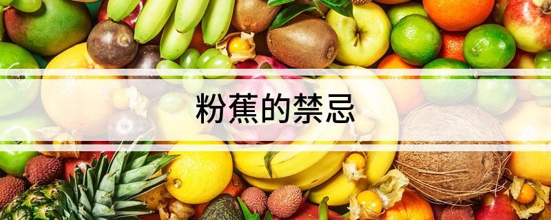 粉蕉的禁忌