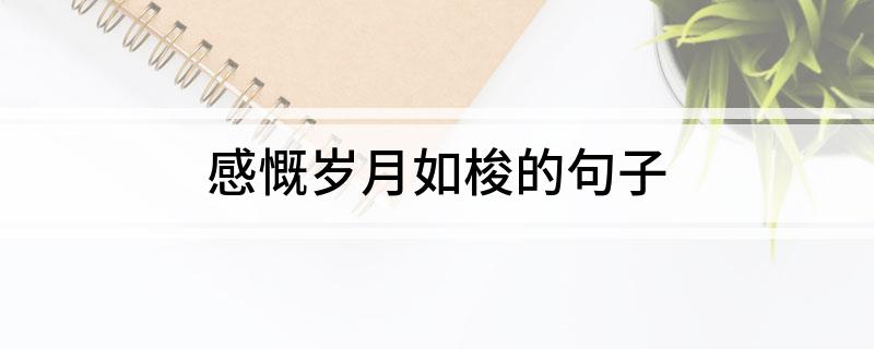 感慨岁月如梭的句子