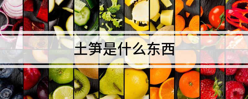 土笋是什么东西?