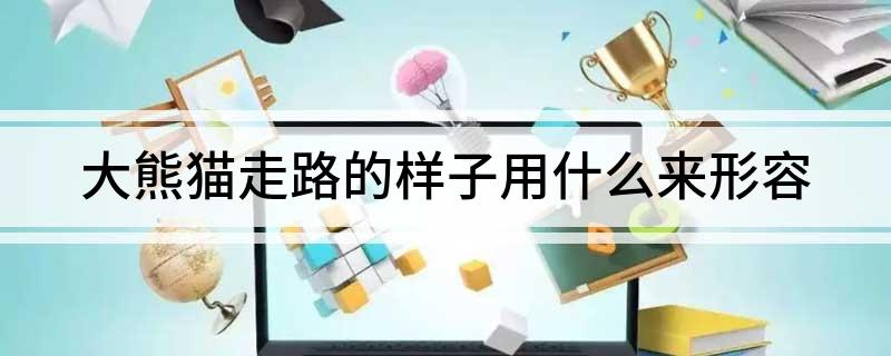 大熊猫走路的样子用什么来形容(怎么形容大熊猫走路的样子)?