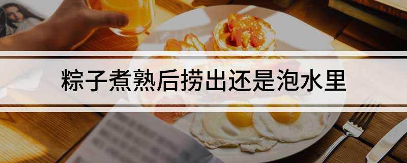 粽子煮熟后捞出还是泡水里吗?(粽子煮熟后捞出还是泡水里)