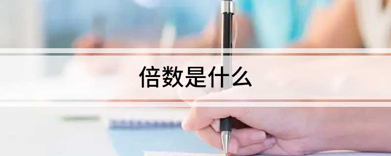 倍数是什么?