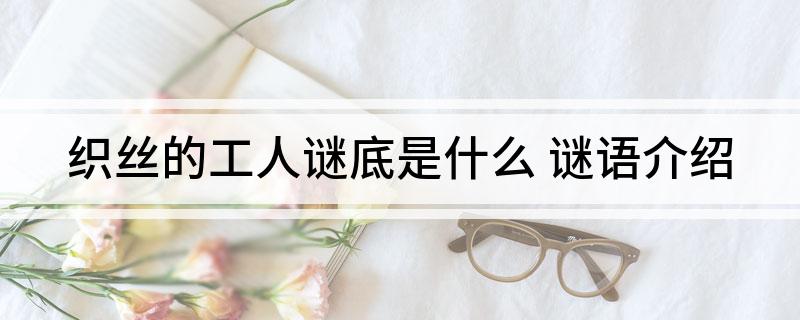 织丝的工人谜底是什么(谜语介绍)?