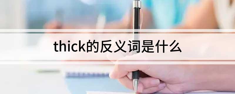 thick的反义词是什么?