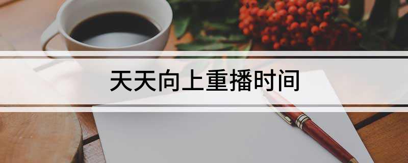 天天向上重播时间