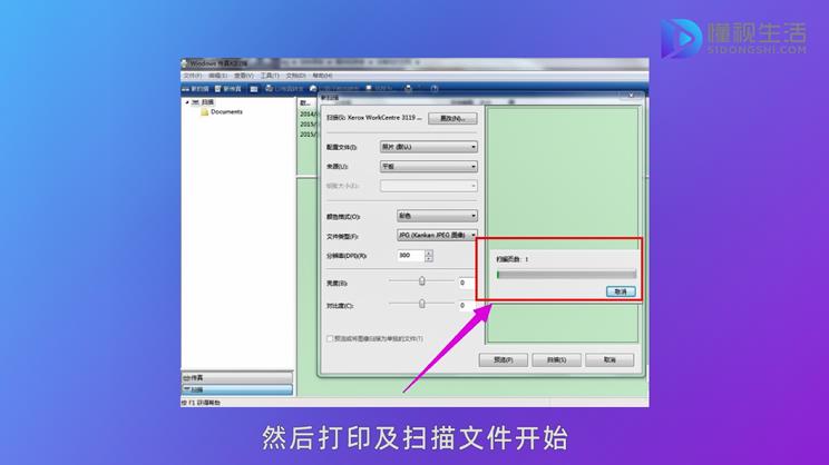 打印及扫描文件