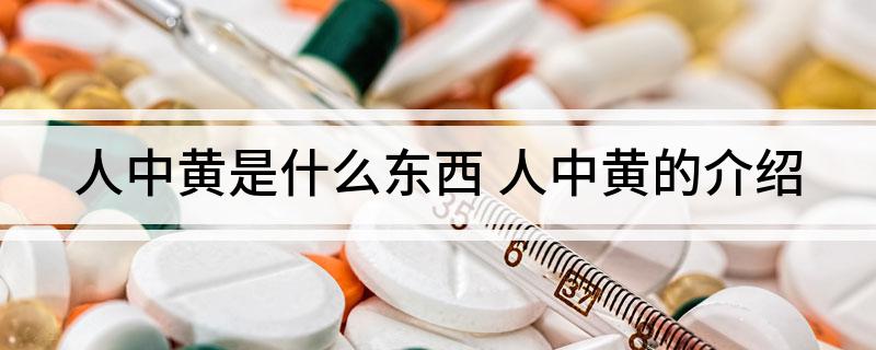 人中黄是什么东西(人中黄的介绍)?