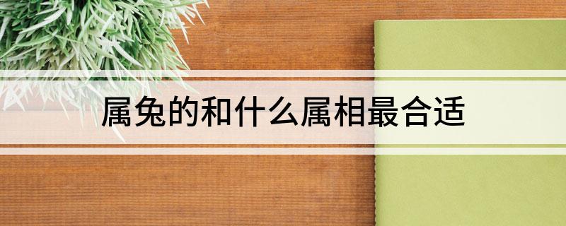 属兔的和什么属相最合适?