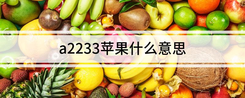a2233苹果什么意思?