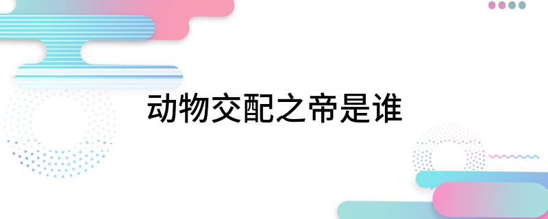 动物交配之帝是谁