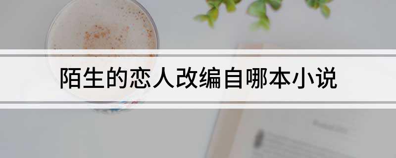 陌生的恋人改编自哪本小说