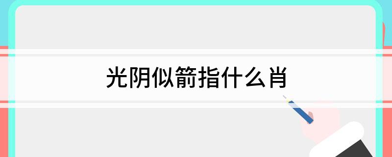 光阴似箭指什么肖?