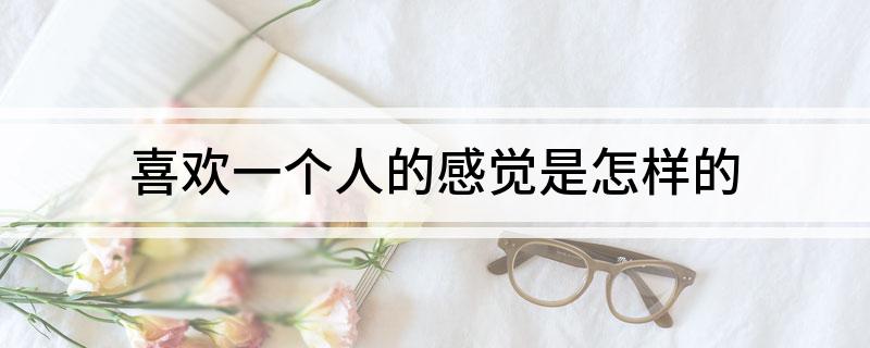 喜欢一个人的感觉是怎么样的?