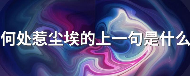 何处惹尘埃的原文及译文_何处惹尘埃的上一句是什么?