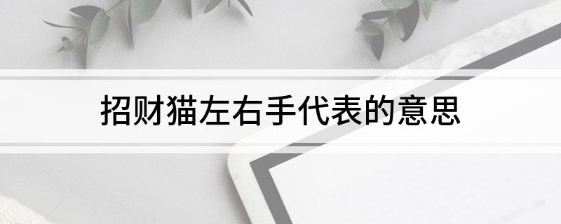 招财猫左右手代表的意思