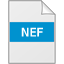 nef是什么?