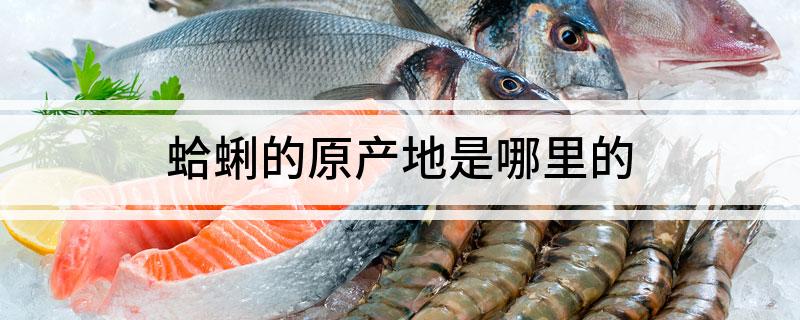 蛤蜊的原产地是哪里的