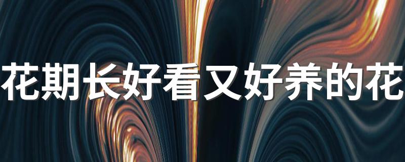 三种好看又好养的花_花期长好看又好养的花