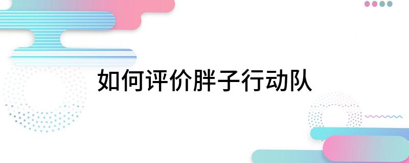 怎么评价胖子行动队?