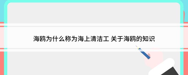 海鸥为什么称为海上清洁工(关于海鸥的知识)?