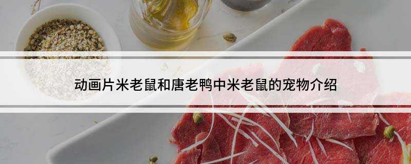 动画片米老鼠和唐老鸭中米老鼠的宠物介绍