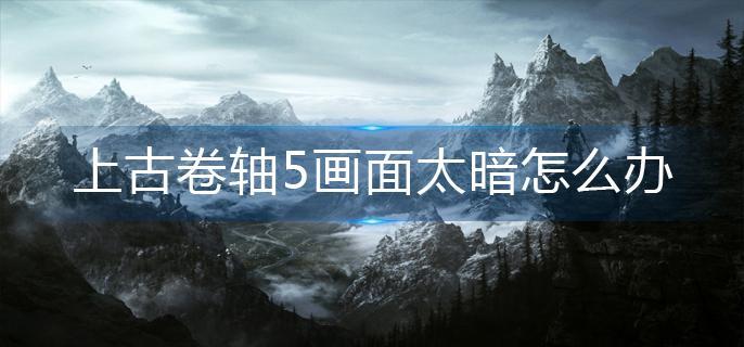 上古卷轴5画面太暗怎么办?(画面太暗解决方法)