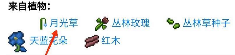 -月光草获得攻略