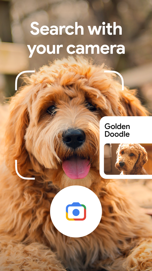 google搜索手机版 v14.13.14.26.arm64 安卓最新版 2