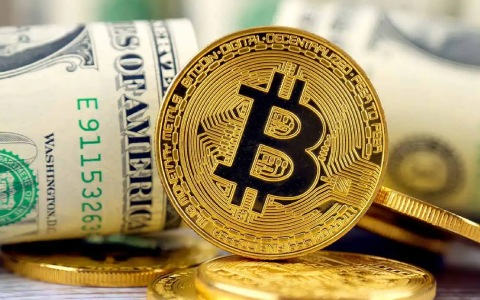 中国可以使用的虚拟币交易所
