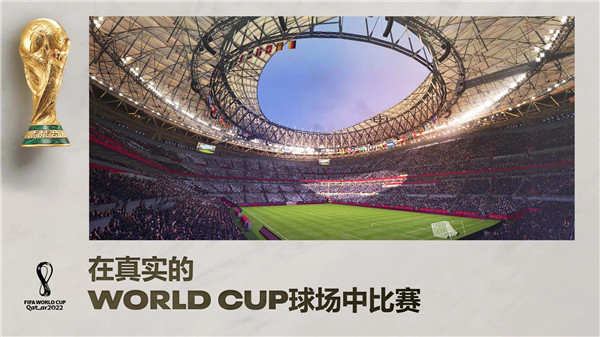 fifa足球世界国际服