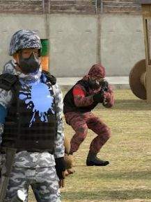 彩弹攻击3D颜料战争(Paintball Attack 3D Color War)