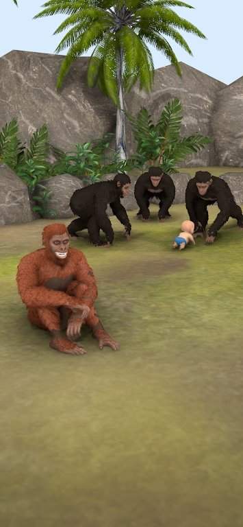 猿的进化(Ape Evolution)