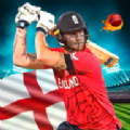 板球联赛战争(Cricket league 3d game)图