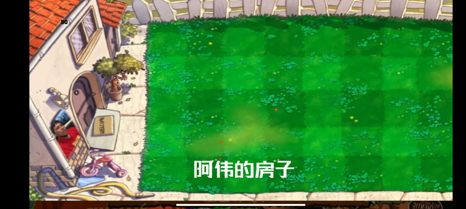 鬼畜全明星植物大战僵尸