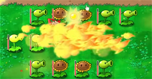 b站南瓜君植物大战僵尸钱版